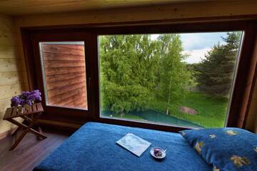 Фото номера Вилла «Пинус Пеуце» Дома для отпуска PinusVillas Conference Lodge г. Zheleznitsa 5